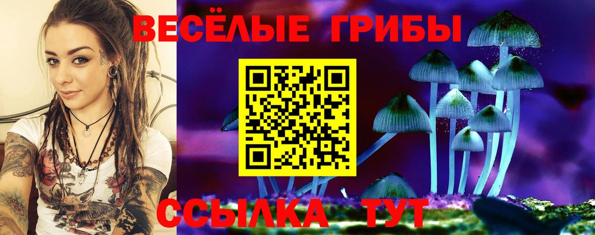 Озёрск  Галлюциногенные грибы GOLDEN TEACHER  Галлюциногенные грибы Psilocybine cubensis  Вход с VPN 