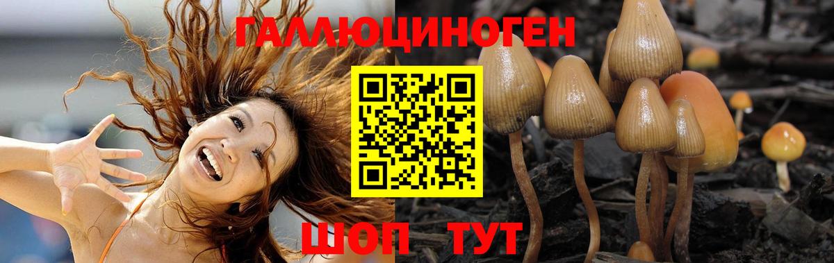 Псилоцибиновые грибы GOLDEN TEACHER Озёрск